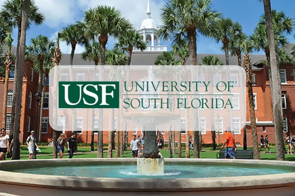 Đại Học Nam Florida University Of South Florida Tư Vấn Du Học Neec