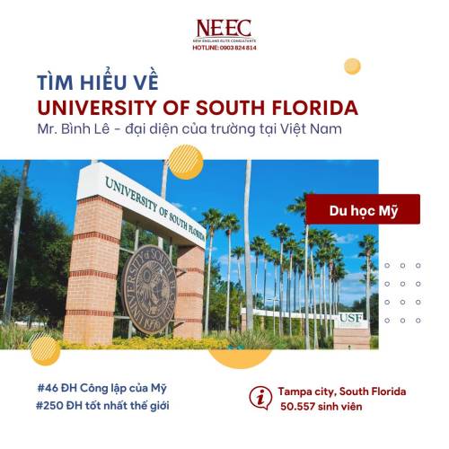 Tìm hiểu về University of South Florida – 1 trong 4 Đại học hàng đầu tại Florida